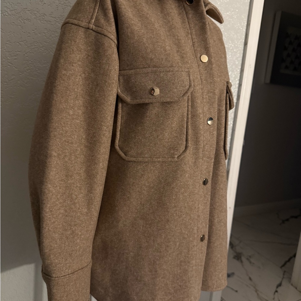 Zara Brown Coat
